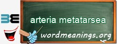 WordMeaning blackboard for arteria metatarsea
